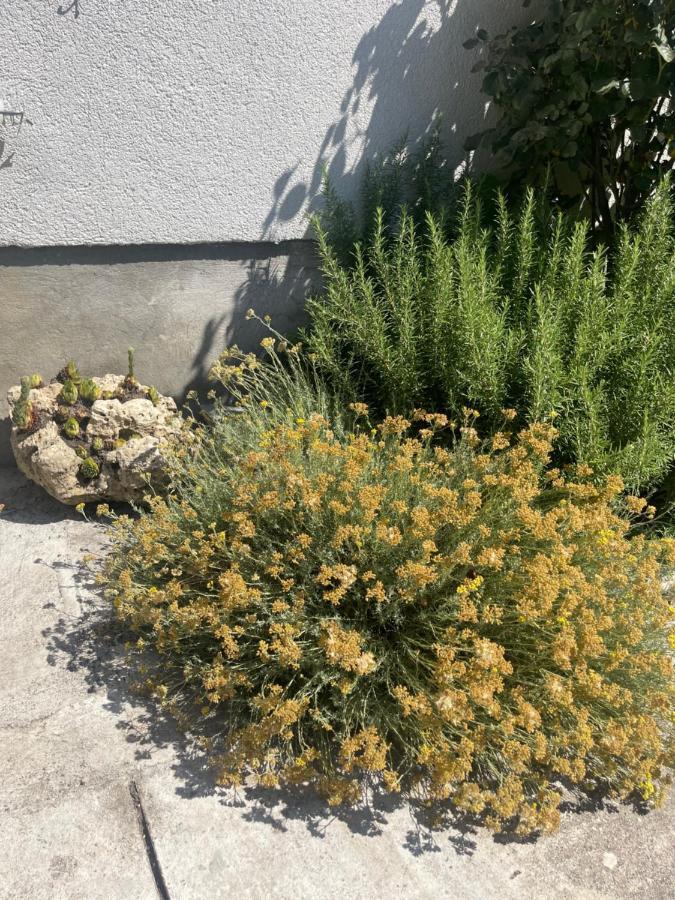 Malin Guesthouse Skradin Kültér fotó
